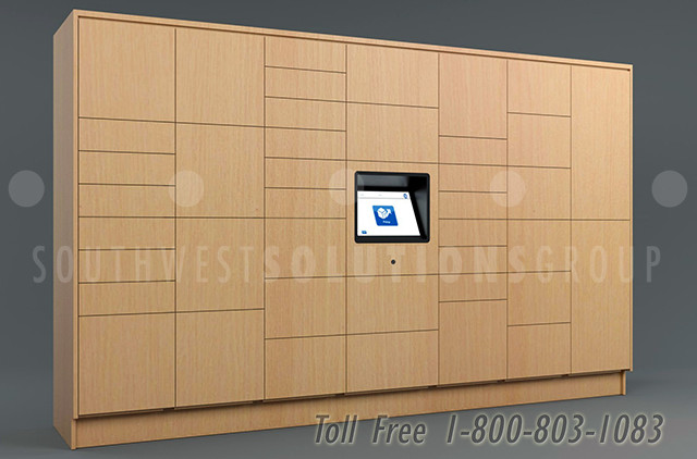 智能储物柜，带审计跟踪包交付存储SSG TZ 500